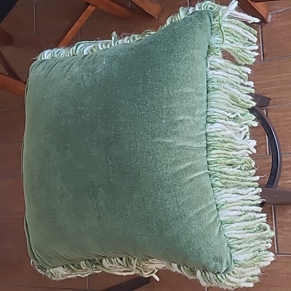 Fringed Decorative Throw Pillow - Picture 2 of 7